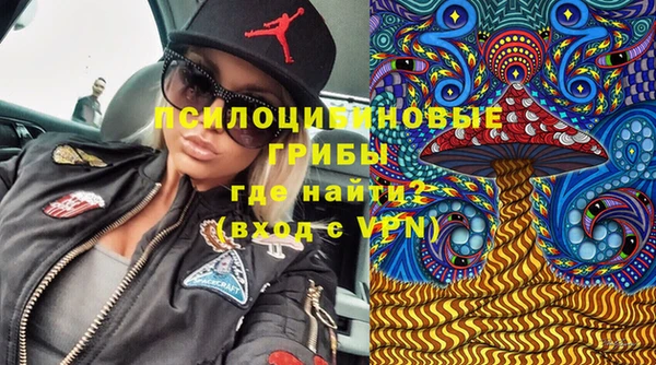 мяу мяу кристалл Алексин