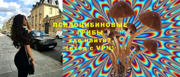 дурь Алексеевка