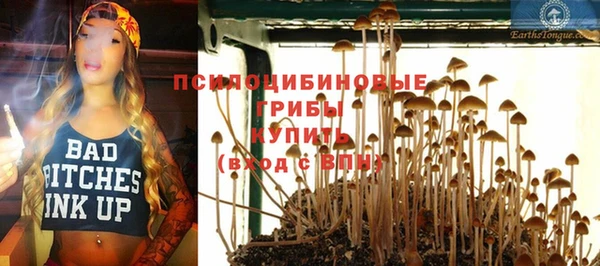 мяу мяу кристалл Алексин