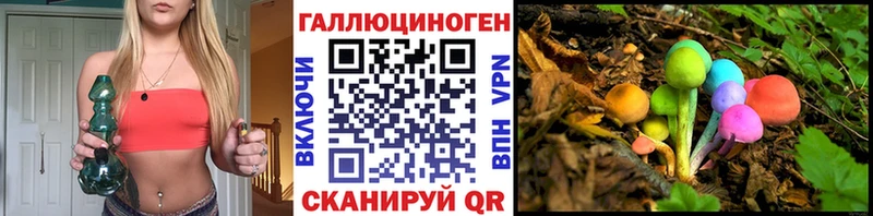 Галлюциногенные грибы Psilocybe  МЕГА как зайти  Дмитров  цена наркотик 