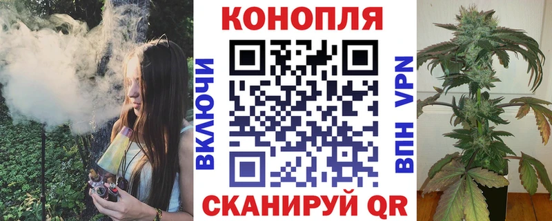 хочу наркоту Дмитров Конопля планчик